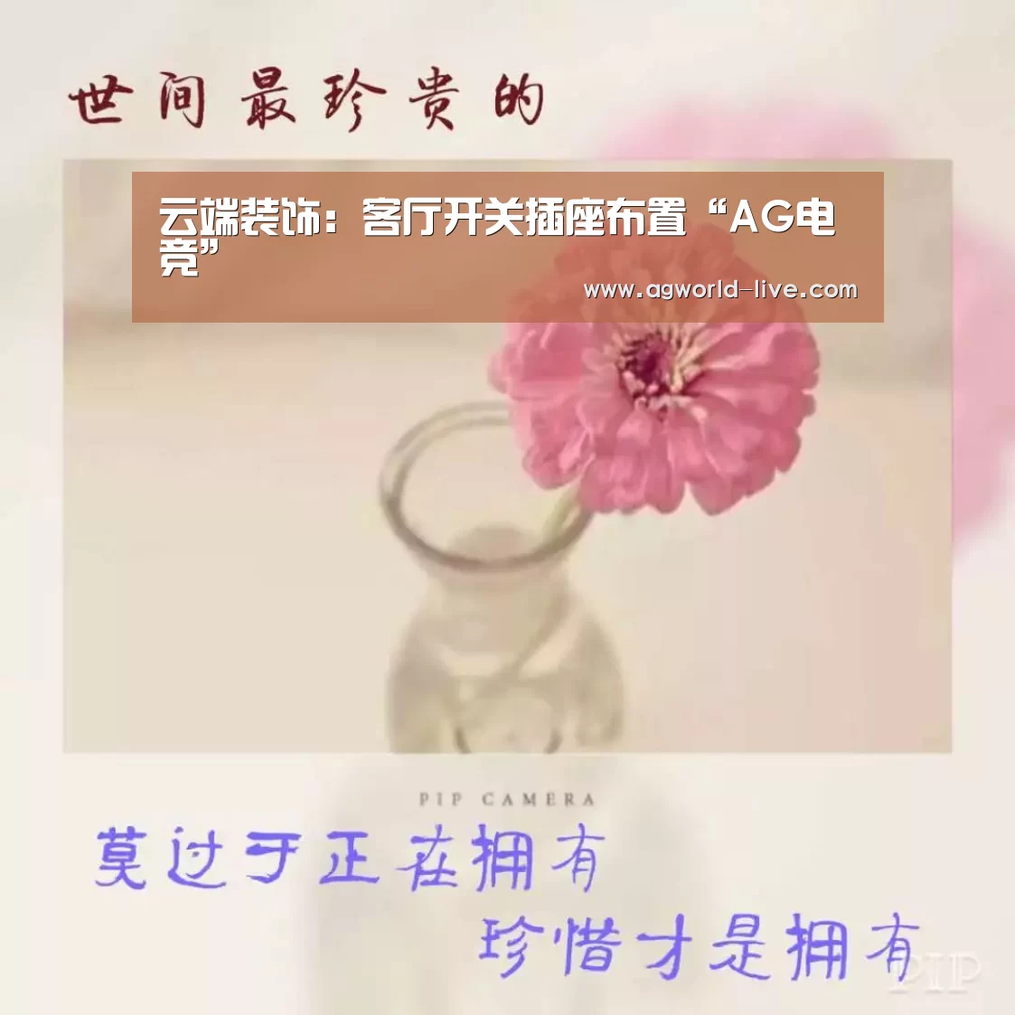云端装饰:客厅开关插座布置“AG电竞”(图2) AG平台