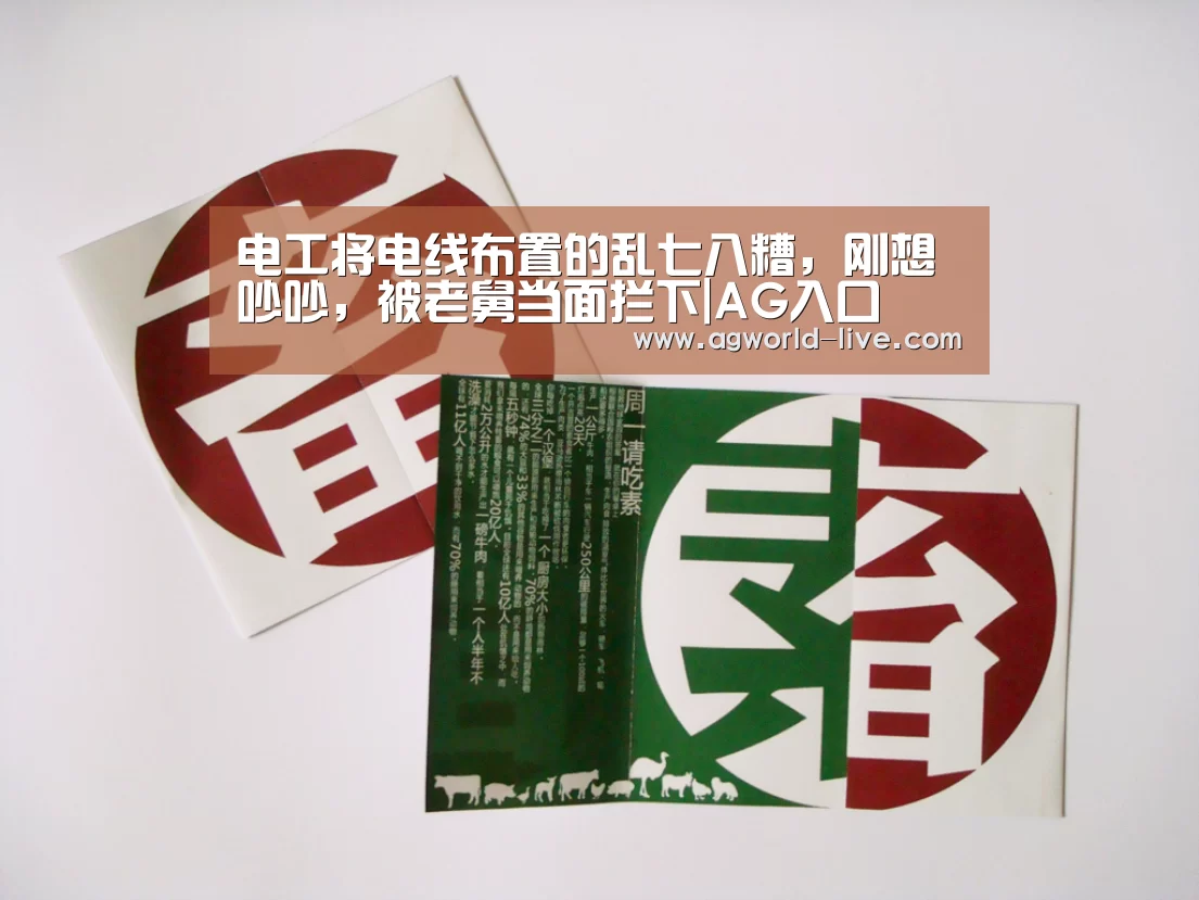 电工将电线布置的乱七八糟,刚想吵吵,被老舅当面拦下|AG入口(图2) AG电竞