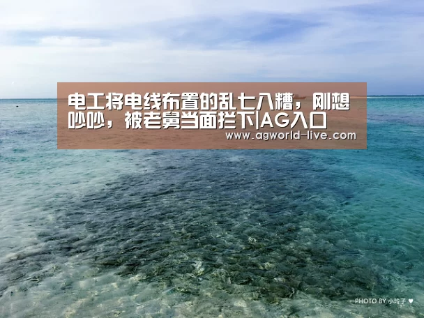电工将电线布置的乱七八糟,刚想吵吵,被老舅当面拦下|AG入口(图4) AG入口