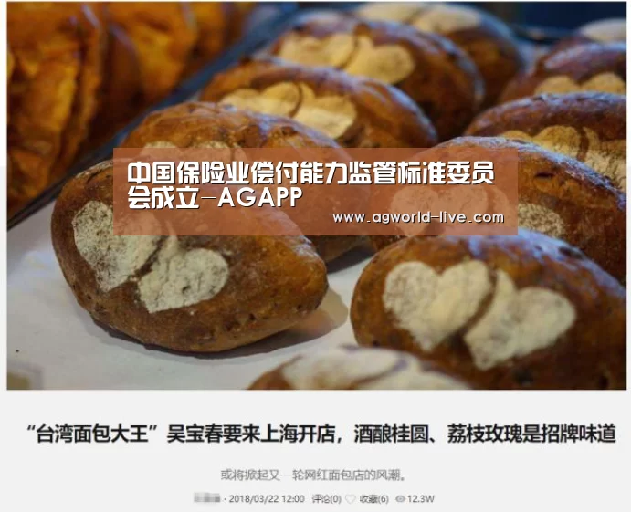 中国保险业偿付能力监管标准委员会成立-AGAPP(图2) AG电竞