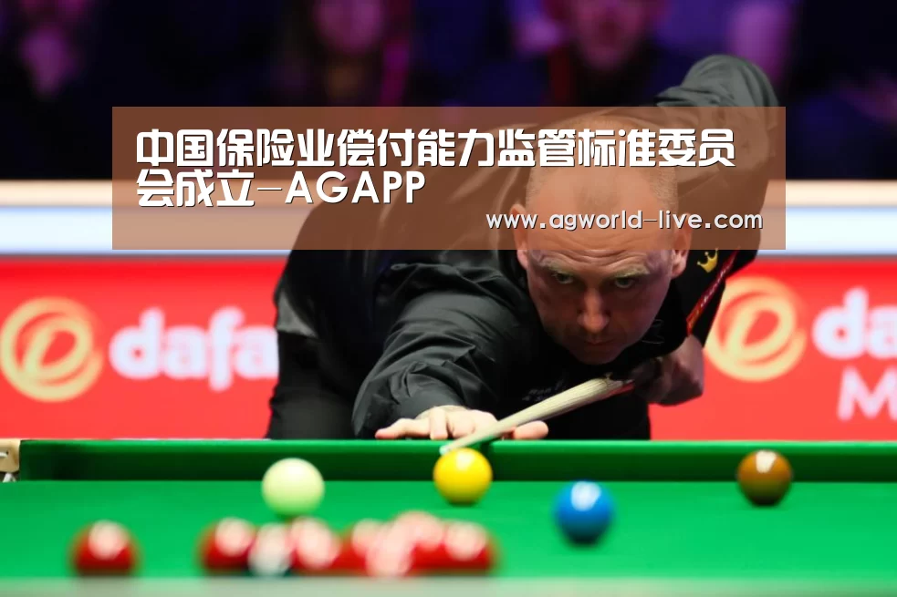 中国保险业偿付能力监管标准委员会成立-AGAPP(图3) 中国保险业偿付能力监管标准委员会成立-AGAPP(图3)