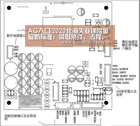 AG入口|2020北海失业保险金最新标准:领取条件、流程、多少钱(图1) AG平台