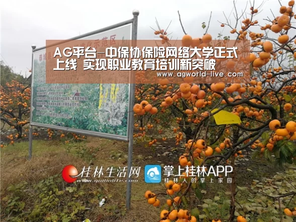 AG平台-中保协保险网络大学正式上线 实现职业教育培训新突破(图1)